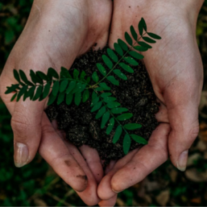 Sustainability Statement