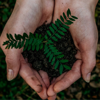Environmental Policy